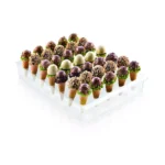 Chocolate-coated miniature ice cream cones displayed in the Silikomart Espogel Up Mini stand